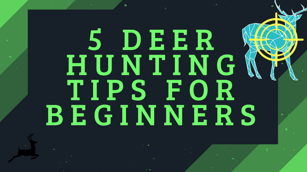 5 Deer Hunting Tips for Beginners